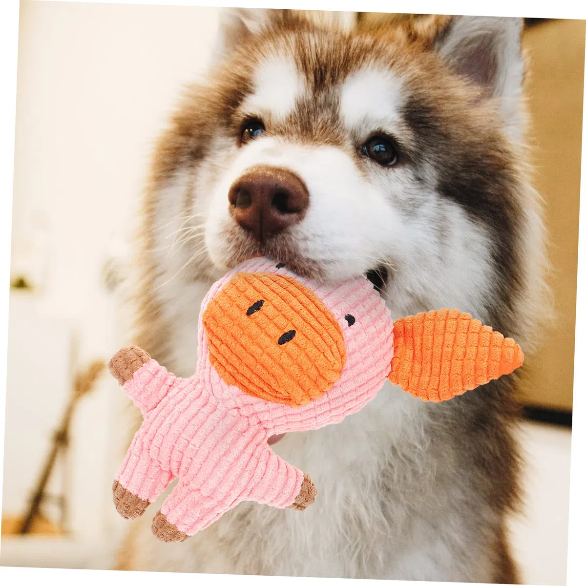 ABOOFAN 5 Piezas Juguete para Mascotas Hueso de Juguete Peluche Juguetes Juguete para Masticar Cachorro Mascota de Dibujos Animados Que Suena Juguete el Gato Felpa