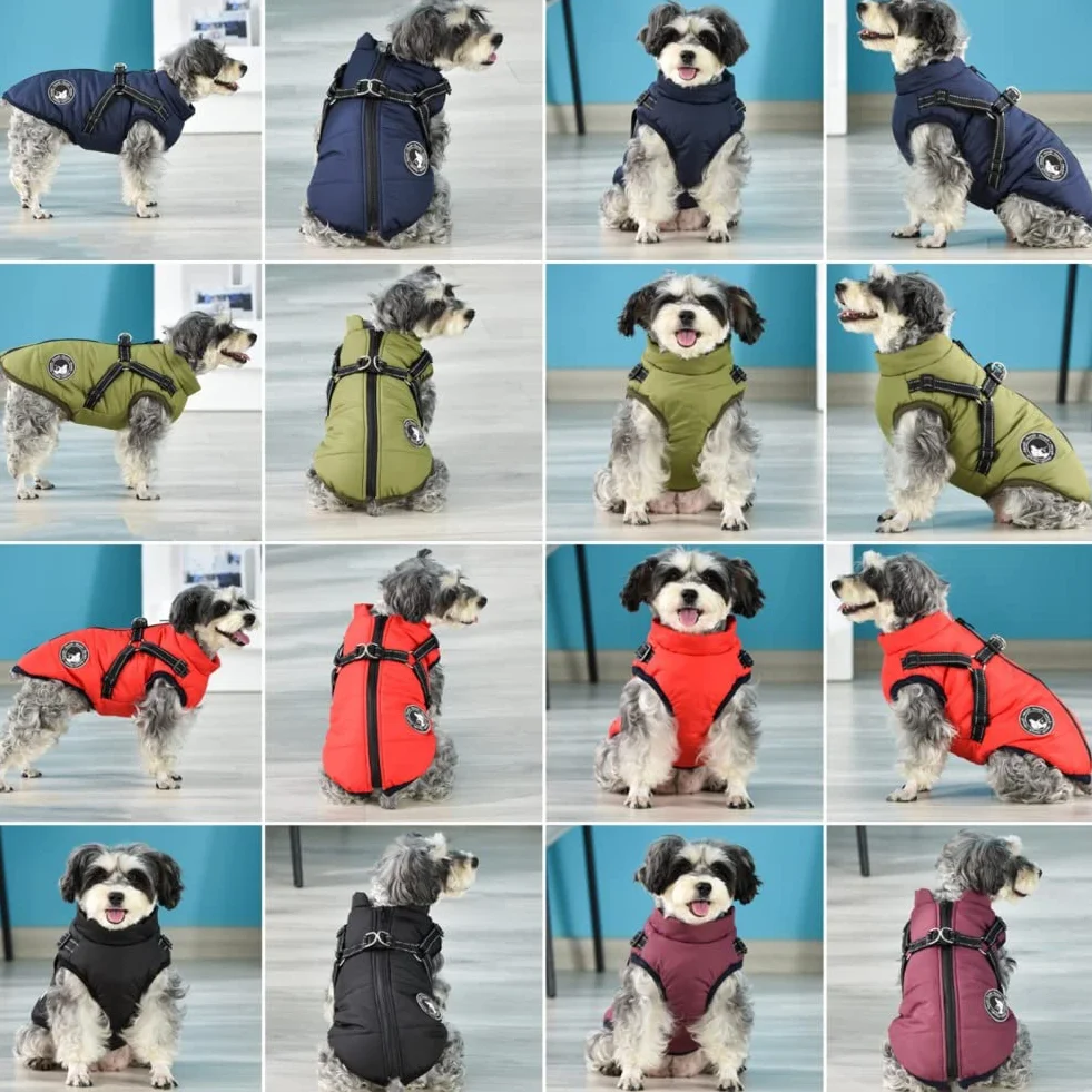 Gyuzh Abrigo para perro con arnés para cachorros, chaqueta impermeable de invierno para perros pequeños, medianos y grandes