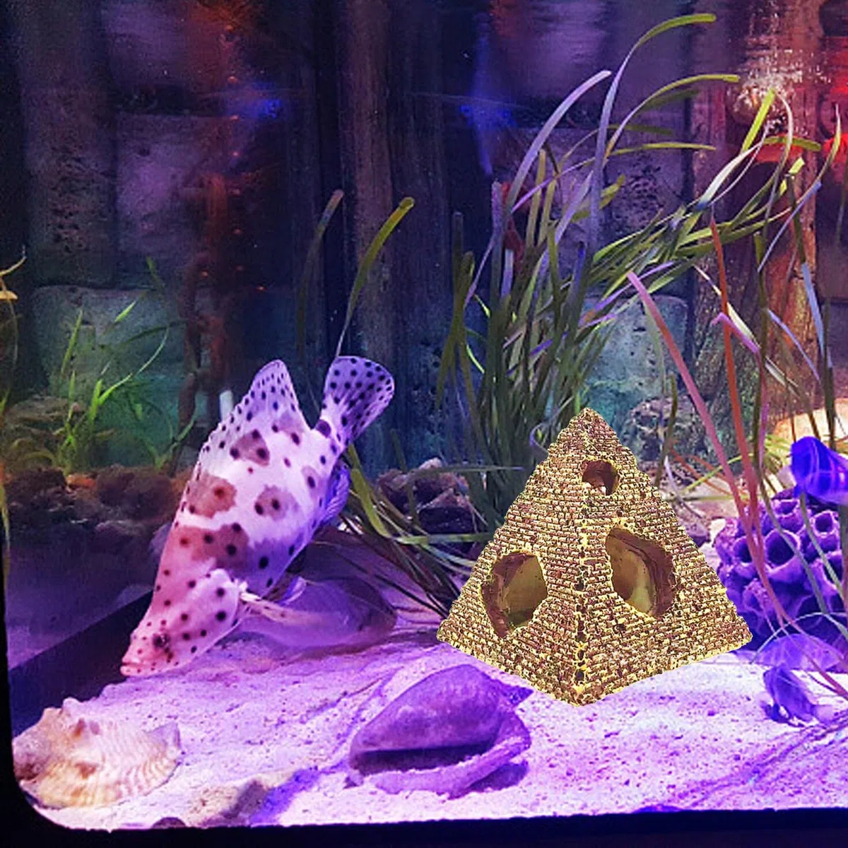 Fenteer 4 Adornos para Acuarios: Casa, Escondite, Estatua de Antigua, Hábitat Decorativo para Acuarios de Agua Salada, 5 Piezas