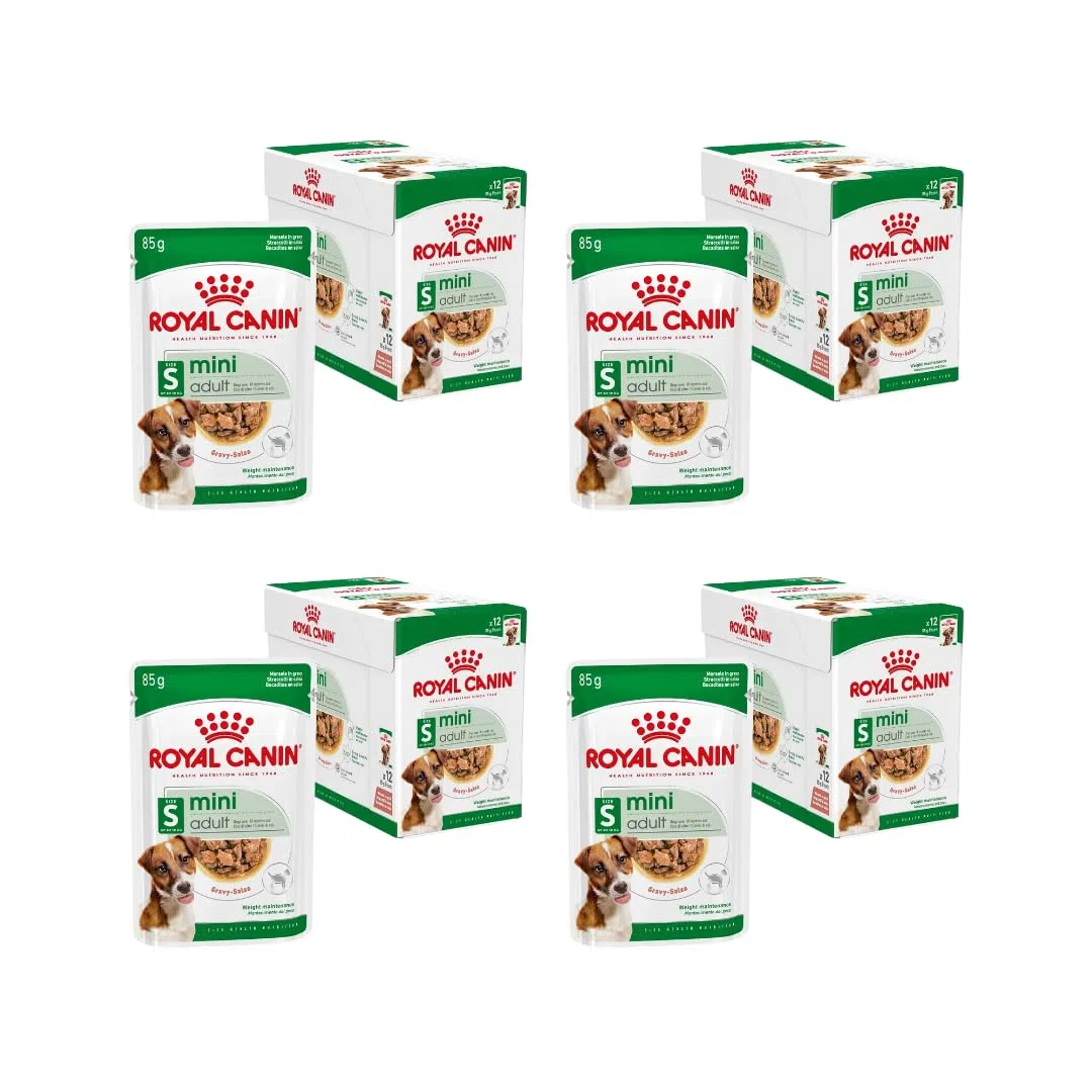 Royal Canin Mini Adult en Salsa | Pack de 4 | 4 x 12 x 85 g | Comida húmeda para Perros pequeños Adultos (de 1 a 10 kg) | De 10 Meses a 12 años | Contenido energético Ajustado